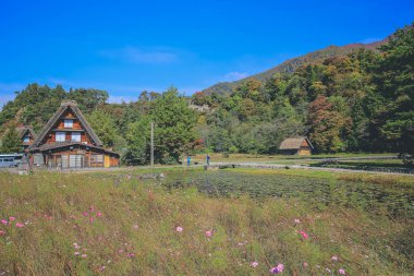 Tarihi Japon Köyü - Shirakawago, Japonya 'nın tarihi simgesi 1 Kasım 2013