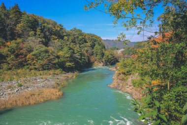 Sho nehri, Shirakawa köyünün ana nehri yazın. 1 Kasım 2013