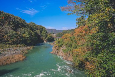 Sho nehri, Shirakawa köyünün ana nehri yazın. 1 Kasım 2013