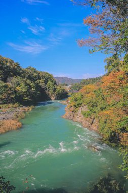 Sho nehri, Shirakawa köyünün ana nehri yazın. 1 Kasım 2013