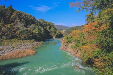 Sho nehri, Shirakawa köyünün ana nehri yazın. 1 Kasım 2013