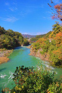 Sho nehri, Shirakawa köyünün ana nehri yazın. 1 Kasım 2013