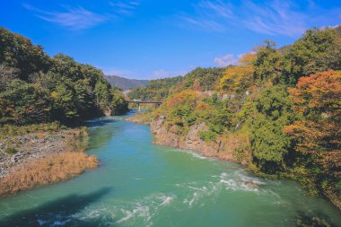 Sho nehri, Shirakawa köyünün ana nehri yazın. 1 Kasım 2013