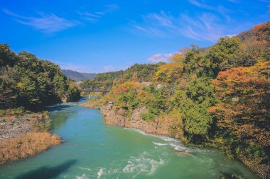 Sho nehri, Shirakawa köyünün ana nehri yazın. 1 Kasım 2013