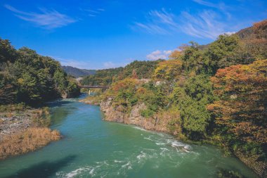 Sho nehri, Shirakawa köyünün ana nehri yazın. 1 Kasım 2013