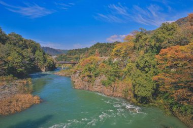 Sho nehri, Shirakawa köyünün ana nehri yazın. 1 Kasım 2013
