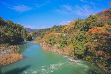 Sho nehri, Shirakawa köyünün ana nehri yazın. 1 Kasım 2013