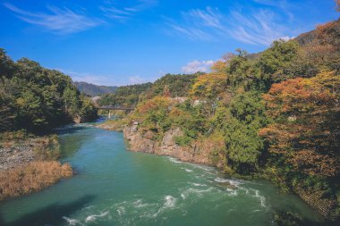 Sho nehri, Shirakawa köyünün ana nehri yazın. 1 Kasım 2013
