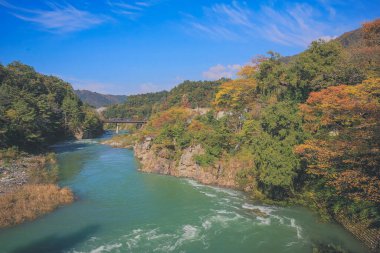 Sho nehri, Shirakawa köyünün ana nehri yazın. 1 Kasım 2013