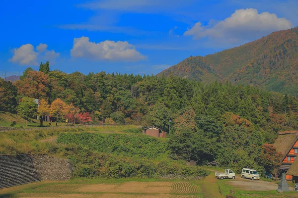 Tree Fall Season Shirakawa Ιαπωνία Νοε 2013 — Φωτογραφία Αρχείου