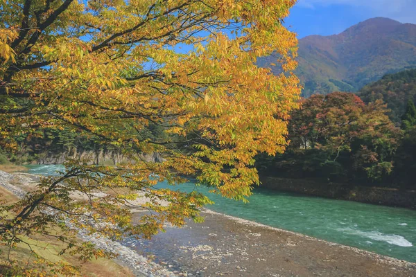 Sho nehri, Shirakawa köyünün ana nehri yazın. 1 Kasım 2013