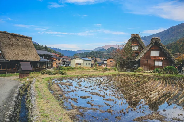 Village Historique Japonais Shirakawago Point Repère Japon Nov 2013 — Photo