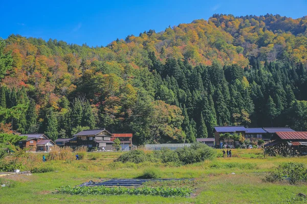 历史上的日本村庄 Shirakawago 2013年11月1日日本旅游地标 — 图库照片