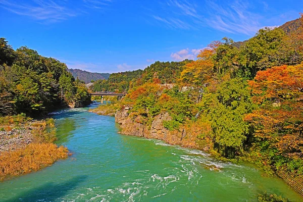 Río Sho Río Principal Aldea Shirakawa Verano Nov 2013 —  Fotos de Stock