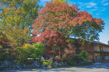 Tarihsel Japon Köyü - İlkbaharda Shirakawago, Japonya 'nın tarihi simgesi