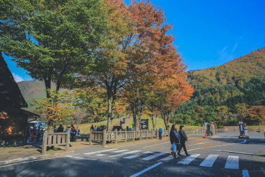 Shirakawa-go köyünün geleneksel binaları, Japonya 1 Kasım 2013