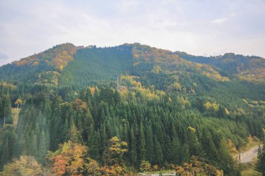 31 Ekim 2013 Japonya 'nın Takayama kırsalının sonbahar manzarası