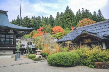 Daioji, Unryuji, Kyushoji Tapınağı Takayama, Japonya 31 Ekim 2013