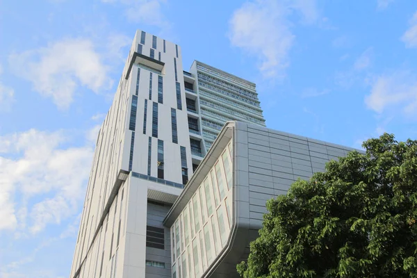 Nov 2013 Universidade Cidade Hong Kong Uma Universidade Pública Pesquisa — Fotografia de Stock