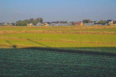 Japonya 2 Kasım 2013 'te tren penceresinden manzara