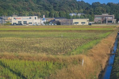 Japonya 2 Kasım 2013 'te tren penceresinden manzara