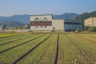 Japonya 2 Kasım 2013 'te tren penceresinden manzara
