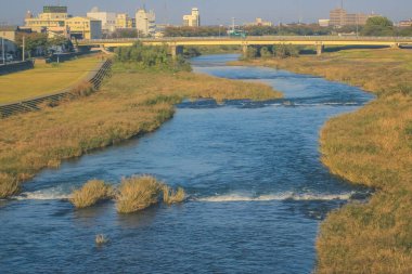 Japonya 2 Kasım 2013 'te tren penceresinden manzara