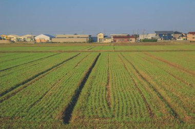 Japonya 2 Kasım 2013 'te tren penceresinden manzara