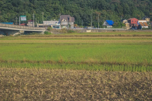 2013年11月2日在日本的火车窗外 — 图库照片