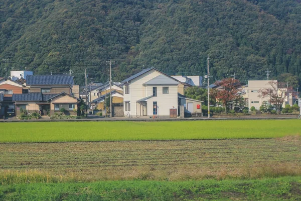Kilátás Vonat Ablakán Japán Nov 2013 — Stock Fotó