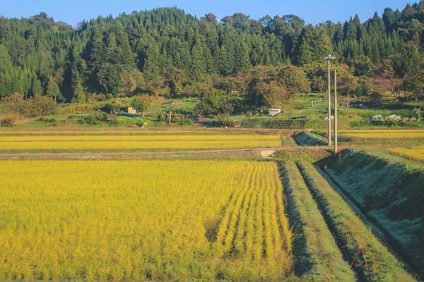 stock image the view out of train window at japan 2 Nov 2013