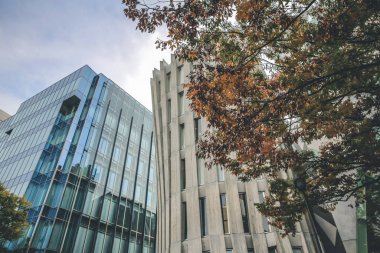 Omote Sando Hill, 3 Kasım 2013 tarihli modaya uygun ürünleriyle ünlü bir alışveriş merkezidir.