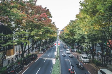 Tokyo - Japonya - Omotesando Caddesi - Sonbahar ve satışlar 3 Kasım 2013