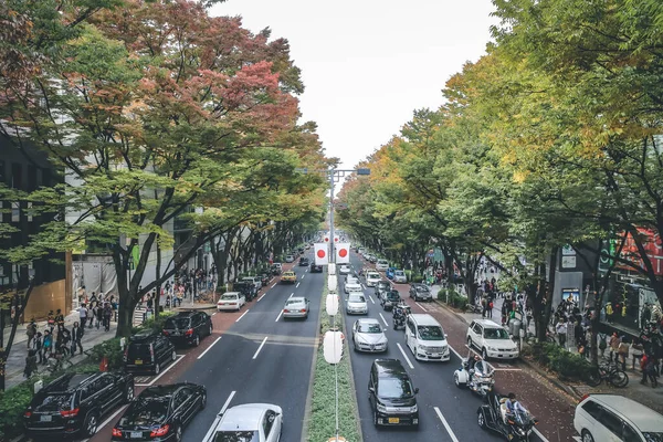 Tokyo - Japonya - Omotesando Caddesi - Sonbahar ve satışlar 3 Kasım 2013