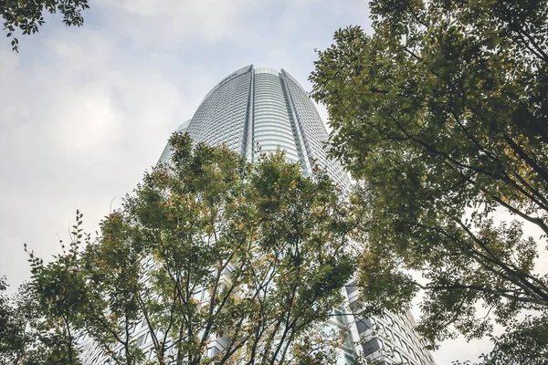 Roppongi Hills 'deki Mori Kulesi, Tokyo 3 Kasım 2013