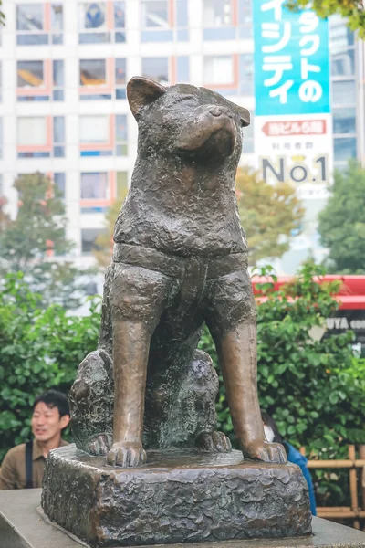 Estatua Encuentra Frente Estación Shibuya Nov 2013 — Foto de Stock