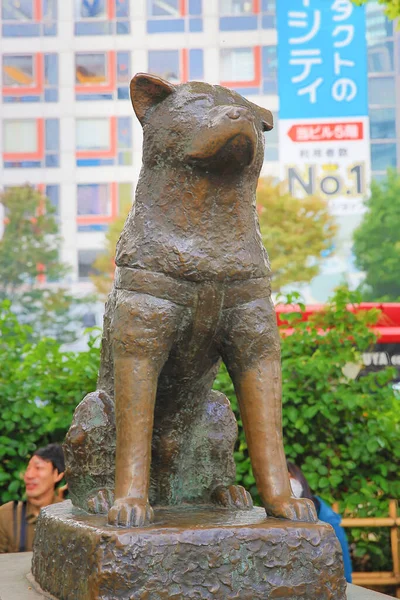 Estatua Encuentra Frente Estación Shibuya Nov 2013 — Foto de Stock