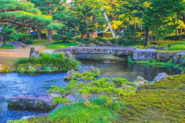 Kasumiga Ike Göleti Kenrokuen Kana zawa 1 Kasım 2013