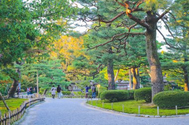 Kenroku Garden, Kanazawa, Japonya 1 Kasım 2013