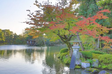 Kasumiga Ike Göleti Kenrokuen Kana zawa 1 Kasım 2013