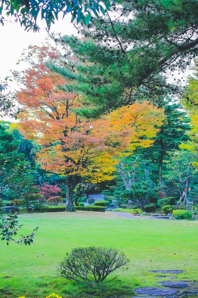 Paysage Jardin Kenroku Kanazawa Japon Nov 2013 — Photo