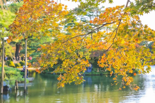 stock image the Kasumiga ike Pond Kenrokuen Kana zawa 1 Nov 2013