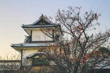 Kanazawa kalesinin manzarası, Japon Kanazawa şehri 1 Kasım 2013