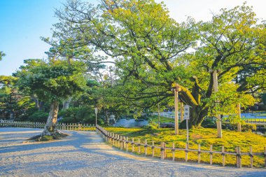 Kenroku Garden, Kanazawa, Japonya 1 Kasım 2013