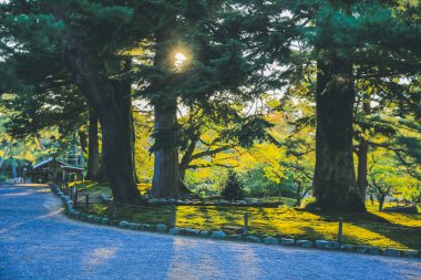 Kenroku Garden, Kanazawa, Japonya 1 Kasım 2013