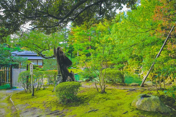 2013年11月1日日本金泽县Kenroku花园景观 — 图库照片