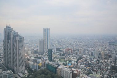 Tokyo şehir silueti çatısı manzarası, Japonya. 3 Kasım 2013