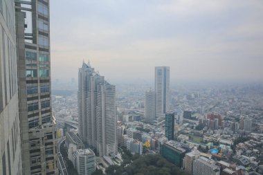 Tokyo şehir silueti çatısı manzarası, Japonya. 3 Kasım 2013