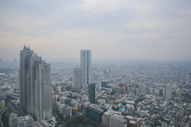 Tokyo şehir silueti çatısı manzarası, Japonya. 3 Kasım 2013
