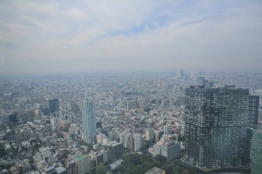 Tokyo şehir silueti çatısı manzarası, Japonya. 3 Kasım 2013